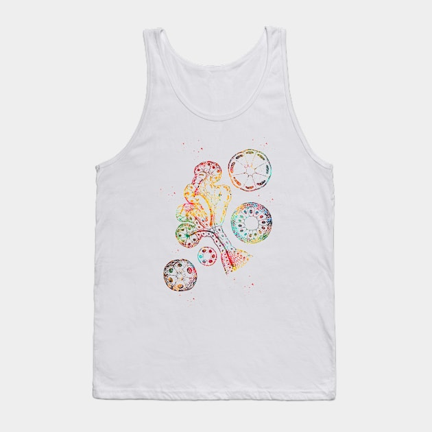 Endocrine gland Tank Top by erzebeth